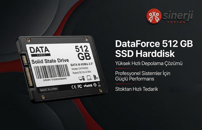 DataForce 512 GB SSD Harddisk